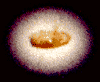 black hole